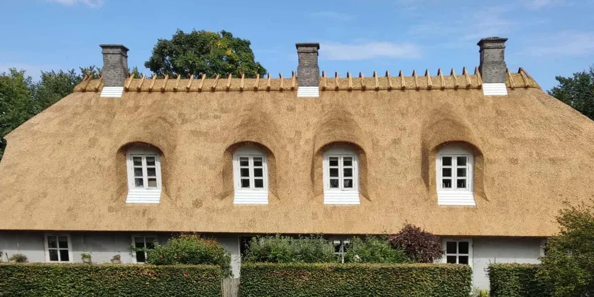 Traditional Reed Thatched Roof House with Four Dormer Windows